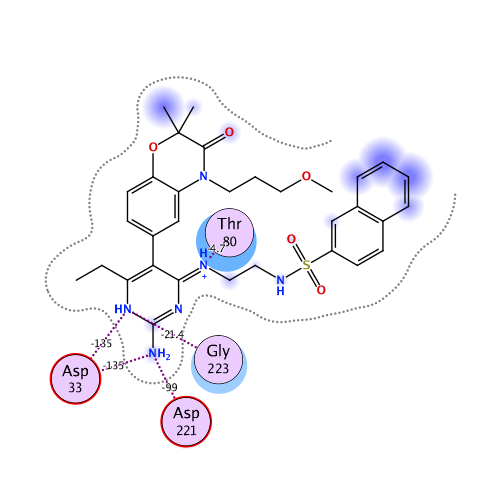 ligand interaction