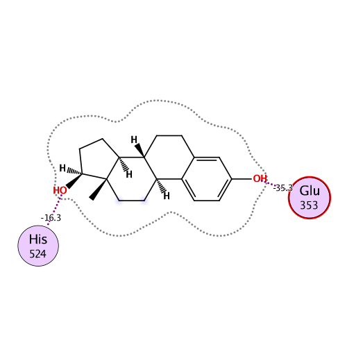 ligand interaction