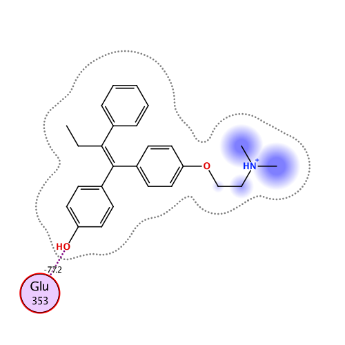 ligand interaction