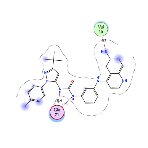 ligand interaction