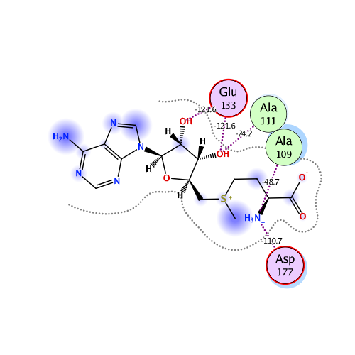 ligand interaction