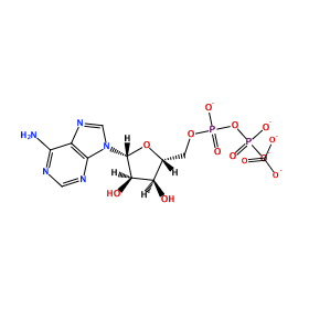 ligand structure