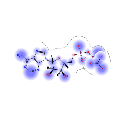 ligand interaction