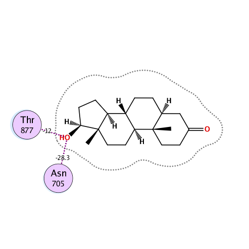 ligand interaction