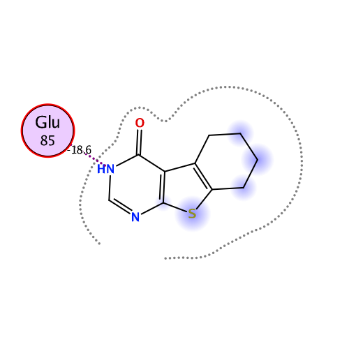 ligand interaction