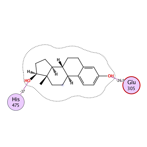 ligand interaction