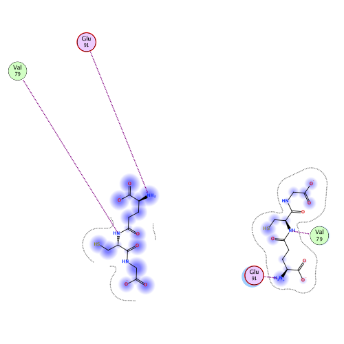 ligand interaction