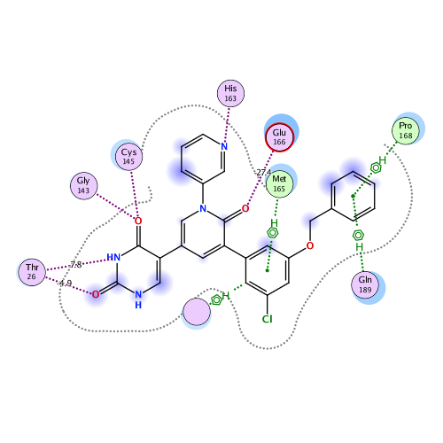ligand interaction