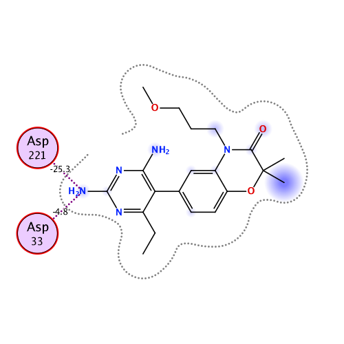 ligand interaction