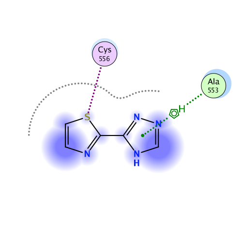 ligand interaction