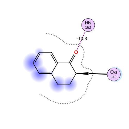 ligand interaction