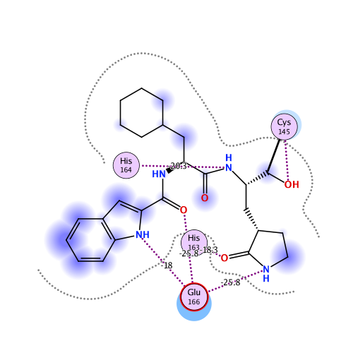 ligand interaction