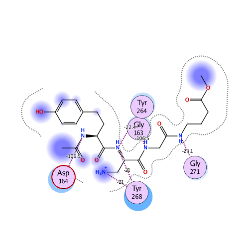 ligand interaction