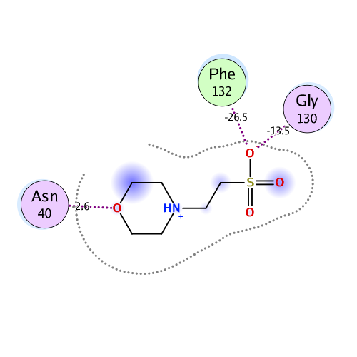 ligand interaction
