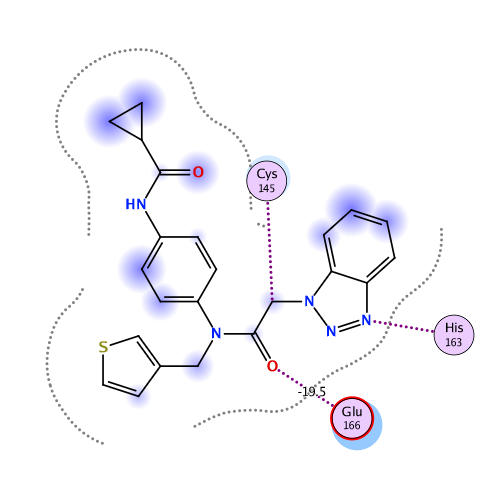ligand interaction