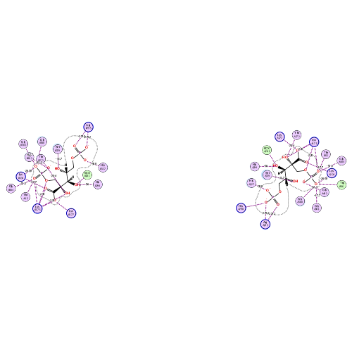ligand interaction