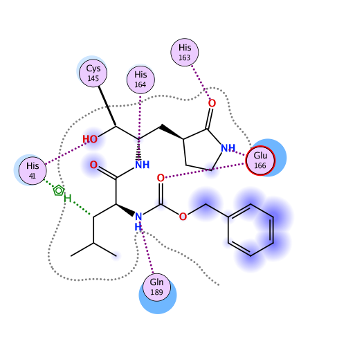 ligand interaction