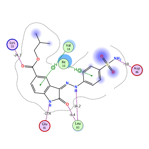 ligand interaction