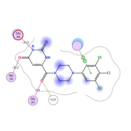 ligand interaction