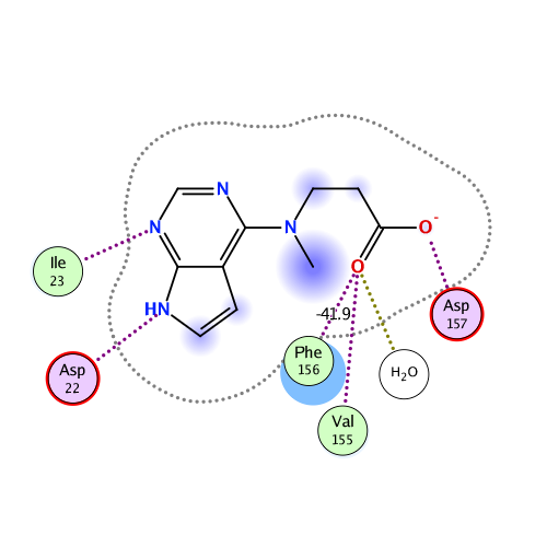 ligand interaction