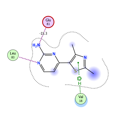 ligand interaction