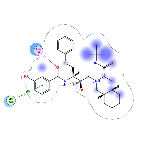 ligand interaction