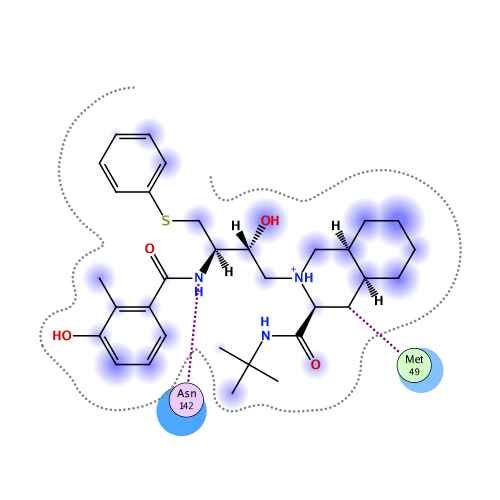 ligand interaction