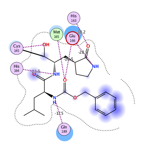 ligand interaction