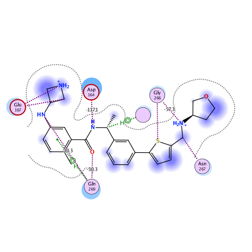 ligand interaction