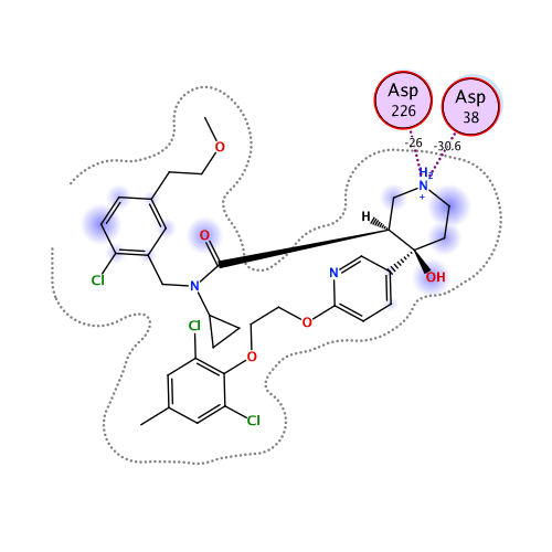 ligand interaction