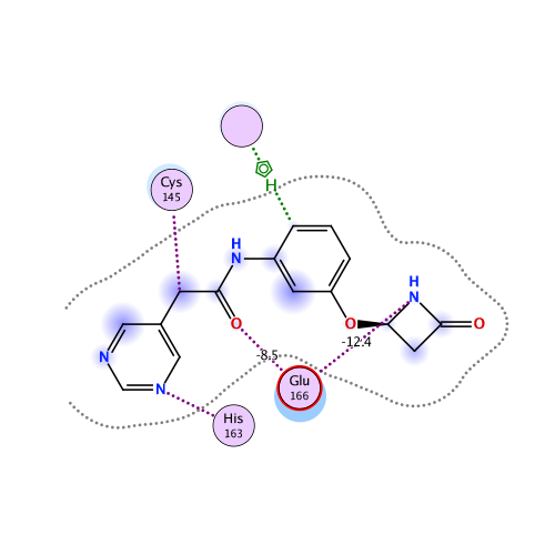 ligand interaction