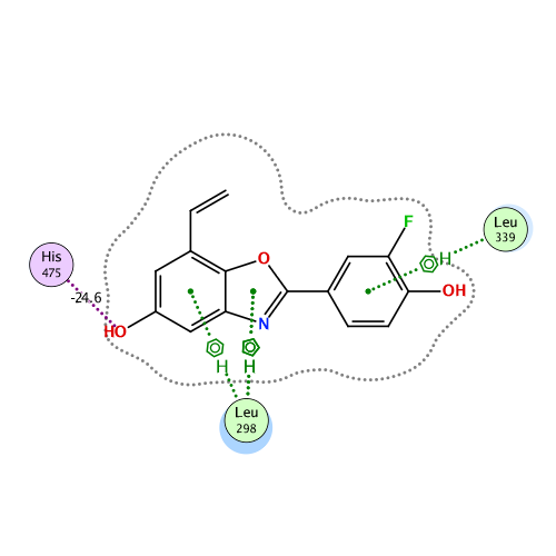 ligand interaction