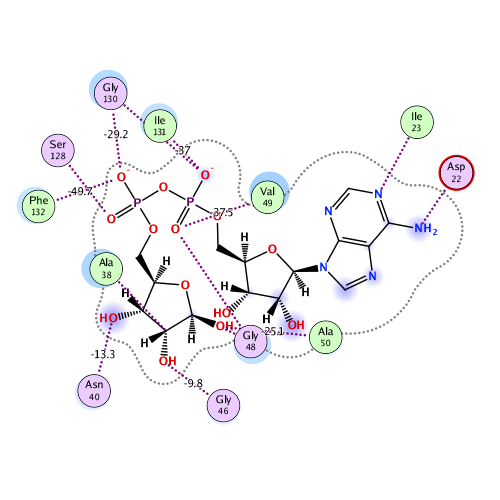 ligand interaction