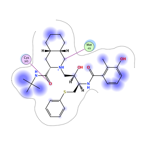 ligand interaction