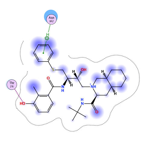 ligand interaction
