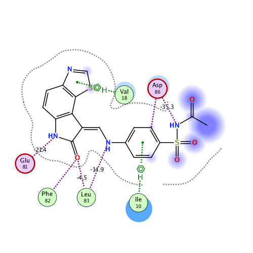 ligand interaction
