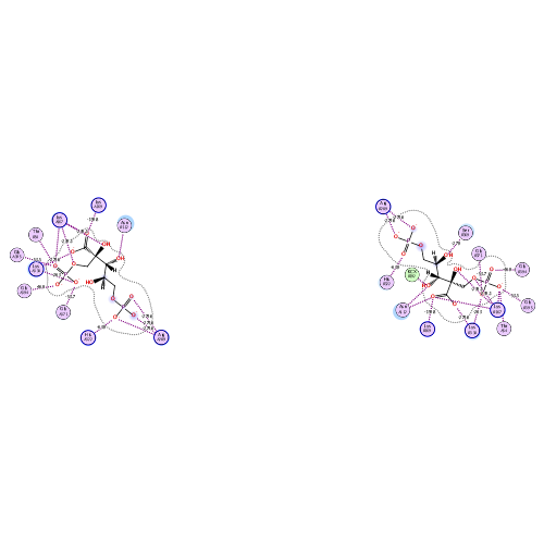 ligand interaction