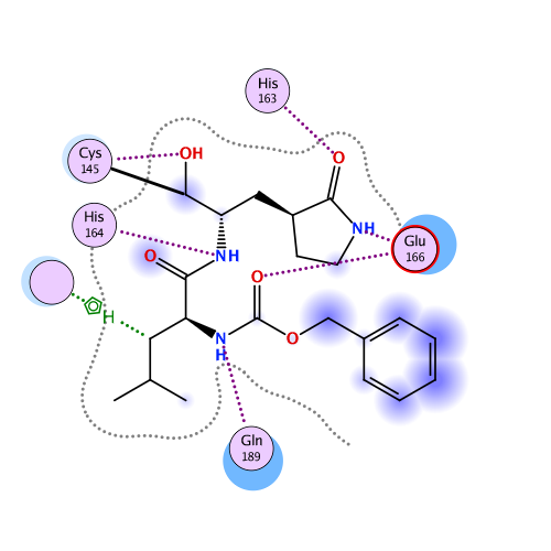 ligand interaction