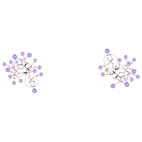 ligand interaction