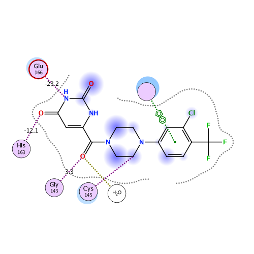 ligand interaction