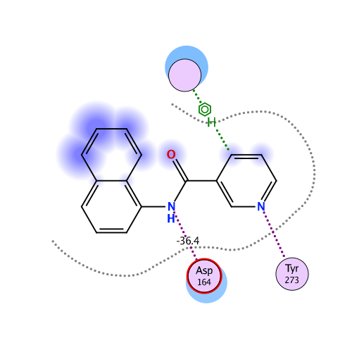 ligand interaction