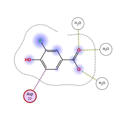 ligand interaction