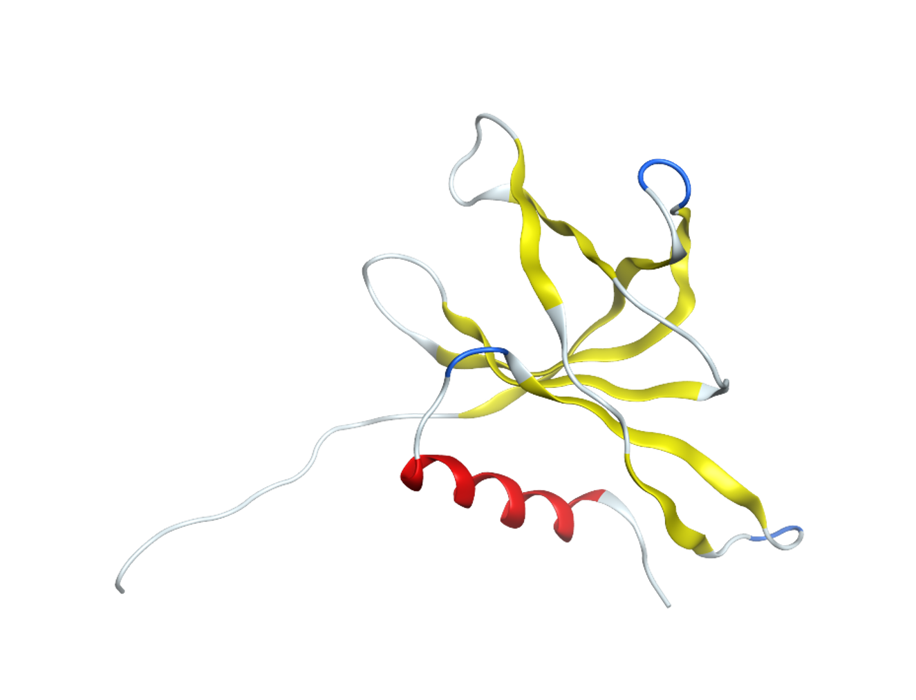 Nsp9 RNA binding protein