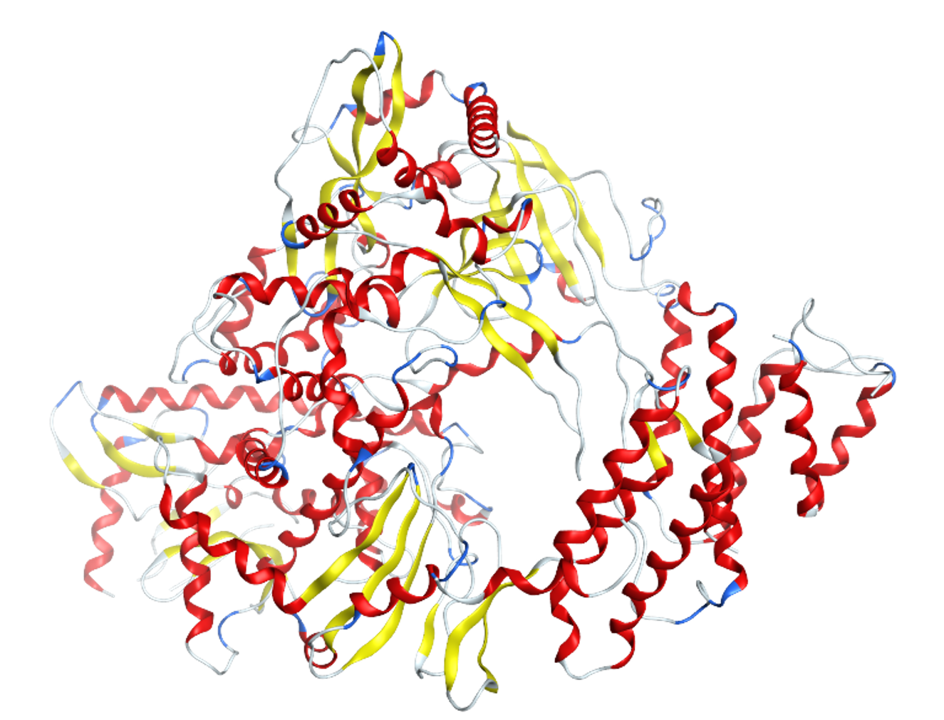RNA dependent RNA polymerase